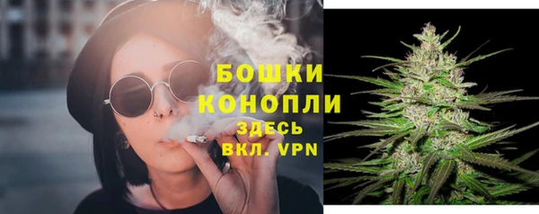 мет Мегион
