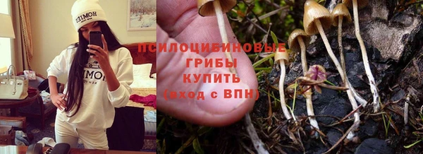 круглые Медвежьегорск