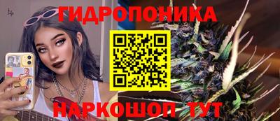 ECSTASY Гатчина