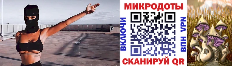 Псилоцибиновые грибы GOLDEN TEACHER  закладка  Северодвинск 