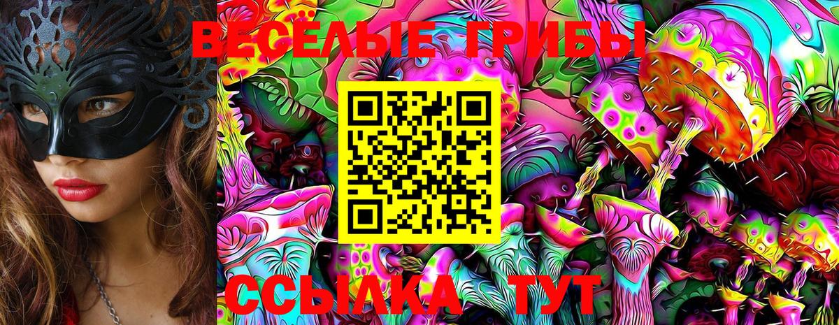 Северодвинск  Псилоцибиновые грибы MAGIC MUSHROOMS  Вход с VPN 